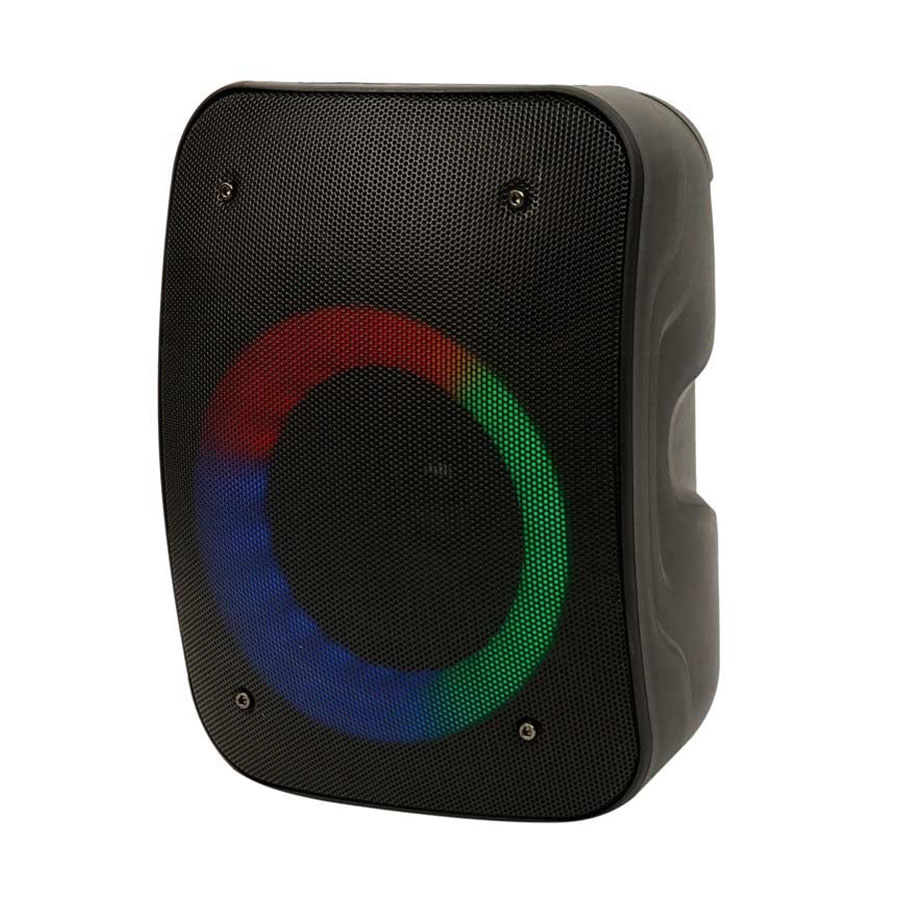 KTS-1110 Bluetooth Portable Speakers (4)