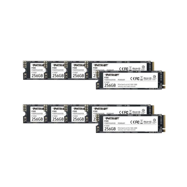 اس اس دی اینترنال پتریوت مدل P300 ظرفیت 256 گیگابایت